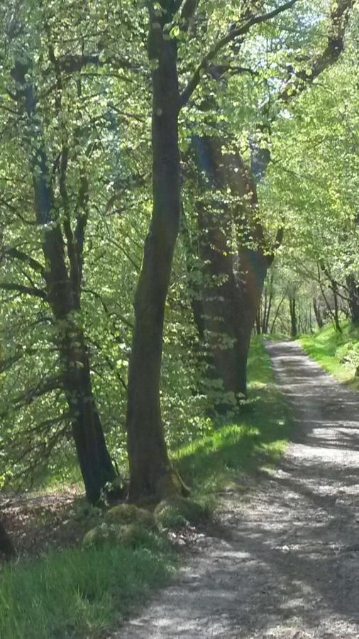 Uircheann Righ Bed & Breakfast Стронтиан Екстериор снимка